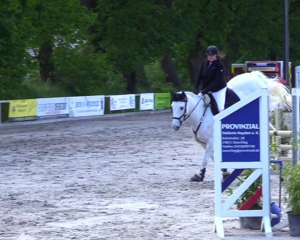 Reitturnier Kropp 2024