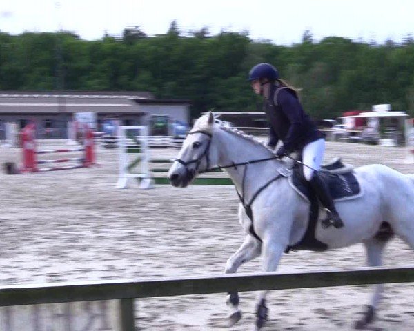Reitturnier Kropp 2024