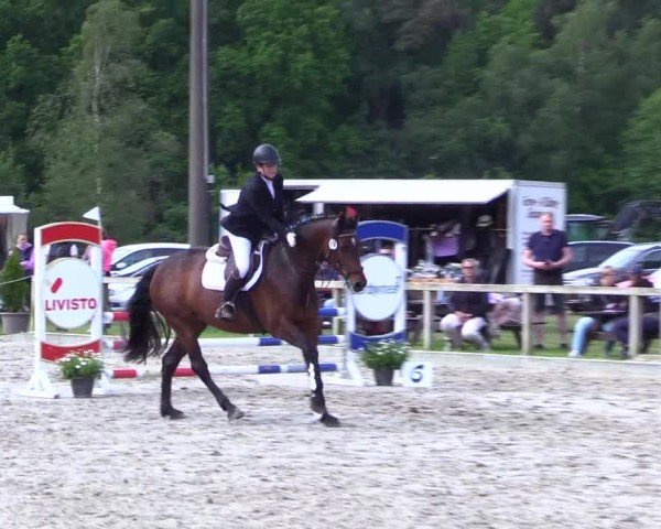 Reitturnier Kropp 2024
