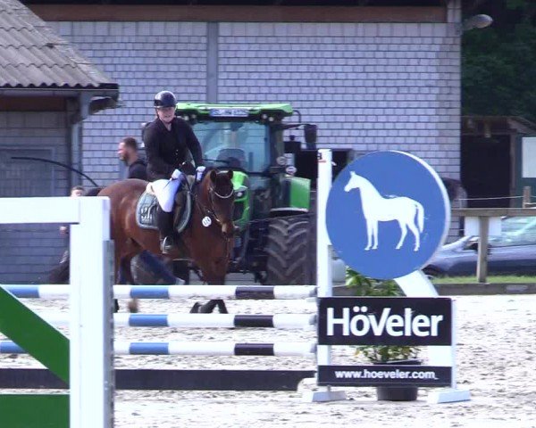 Reitturnier Kropp 2024
