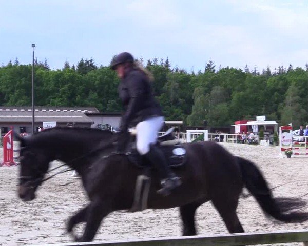 Reitturnier Kropp 2024
