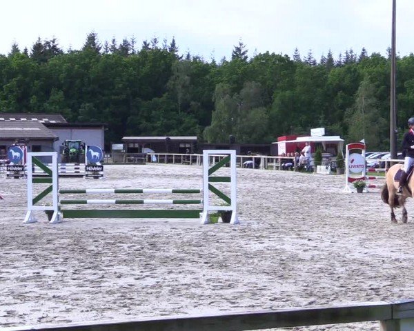 Reitturnier Kropp 2024