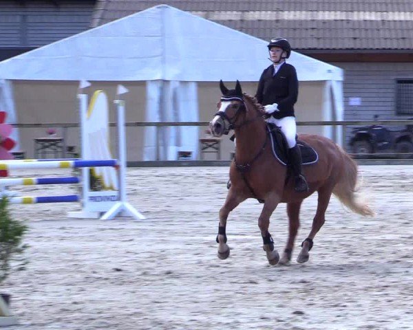 Reitturnier Kropp 2024