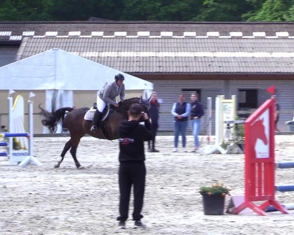Reitturnier Kropp 2024