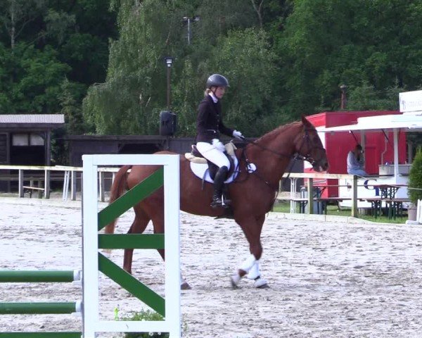 Reitturnier Kropp 2024
