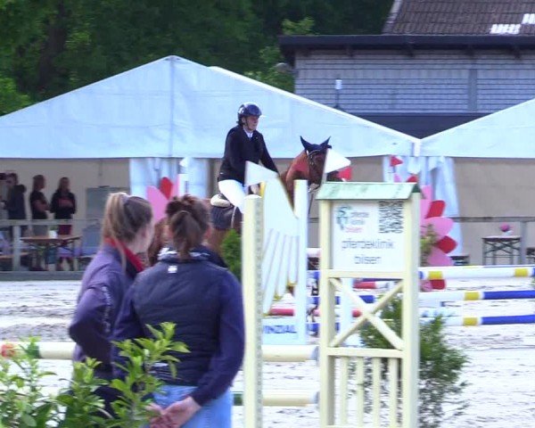 Reitturnier Kropp 2024