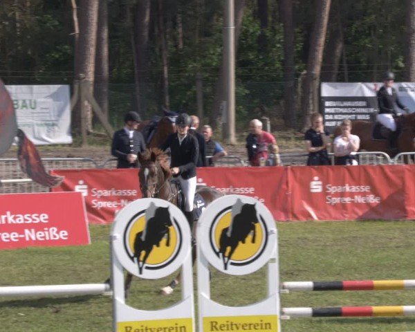Reitturnier Cottbus-Sielow 2024