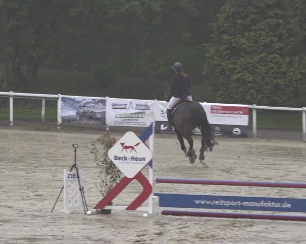 Reitturnier Siegen-Weidenau  2024