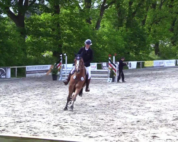 Reitturnier Kropp 2024