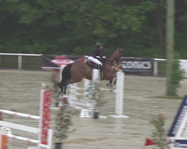 Reitturnier Siegen-Weidenau  2024