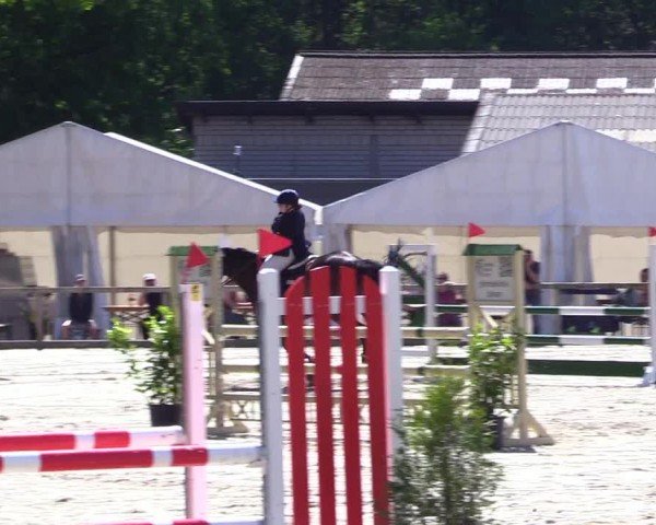 Reitturnier Kropp 2024