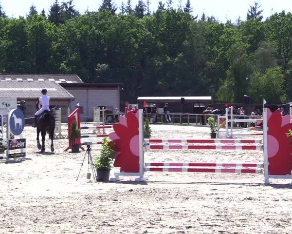Reitturnier Kropp 2024