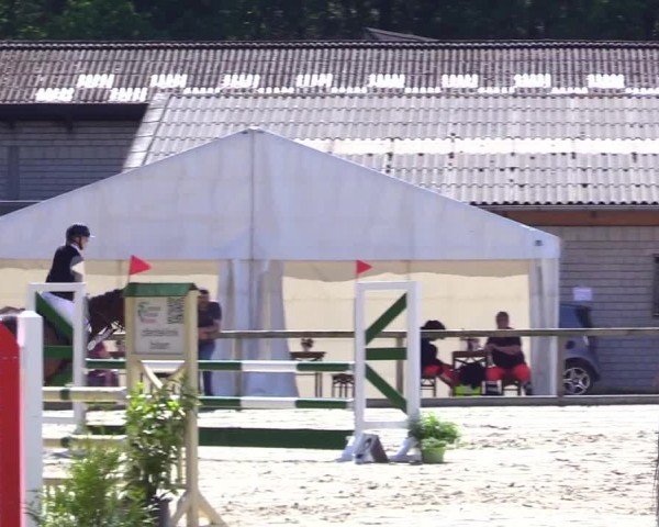 Reitturnier Kropp 2024
