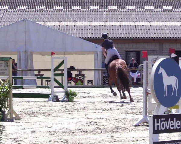 Reitturnier Kropp 2024