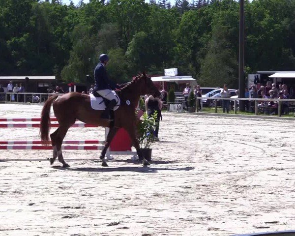 Reitturnier Kropp 2024