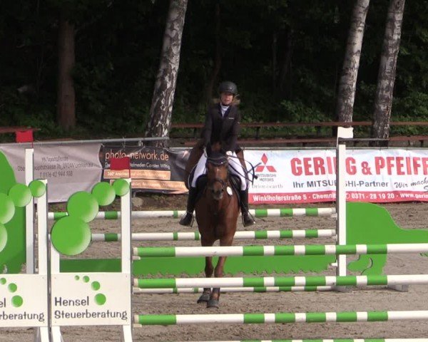 Reitturnier Lgl.-Oberhain, B95 2024