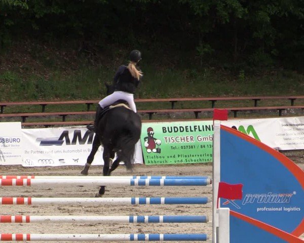 Reitturnier Lgl.-Oberhain, B95 2024