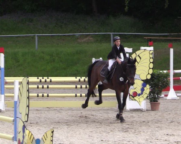 Reitturnier Lgl.-Oberhain, B95 2024