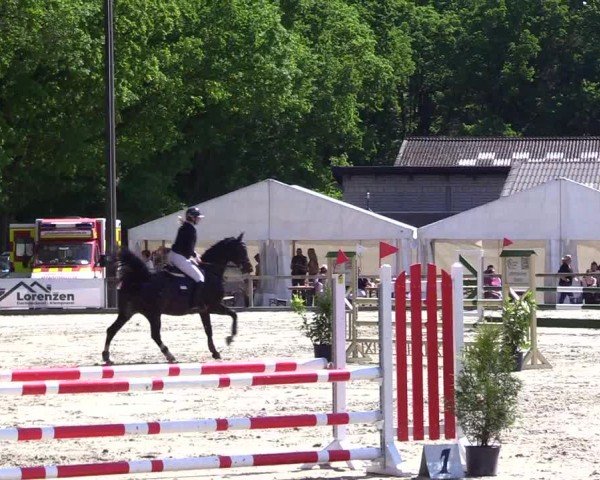 Reitturnier Kropp 2024