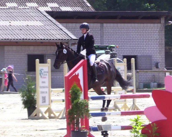 Reitturnier Kropp 2024