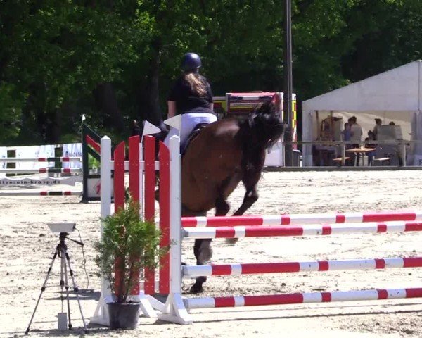 Reitturnier Kropp 2024