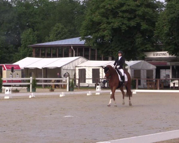 Reitturnier Everswinkel 2024
