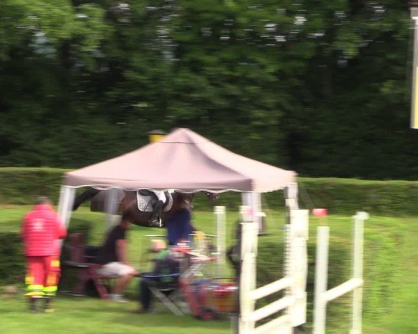 Reitturnier Westeregeln 2024
