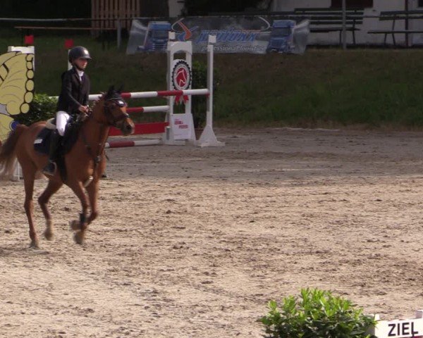Reitturnier Lgl.-Oberhain, B95 2024