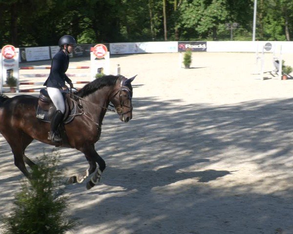 Reitturnier Karlsfeld/Obb. 2024