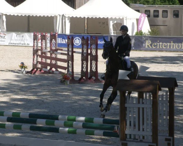 Reitturnier Karlsfeld/Obb. 2024