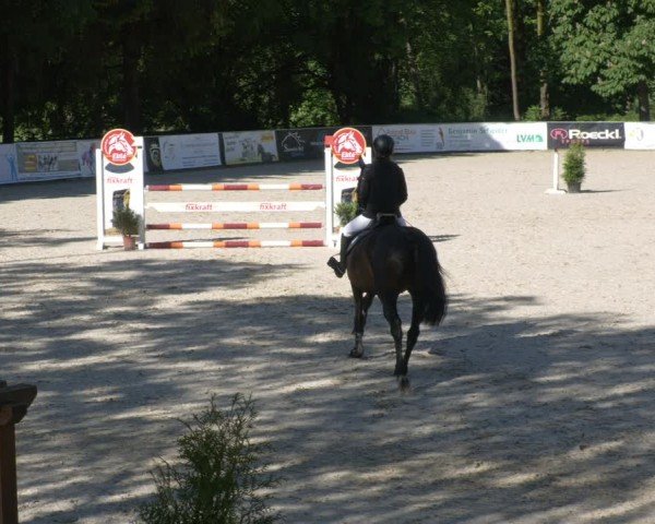 Reitturnier Karlsfeld/Obb. 2024