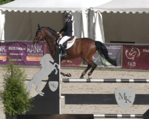 Reitturnier Karlsfeld/Obb. 2024