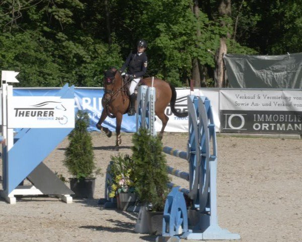 Reitturnier Karlsfeld/Obb. 2024