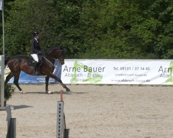 Reitturnier Karlsfeld/Obb. 2024