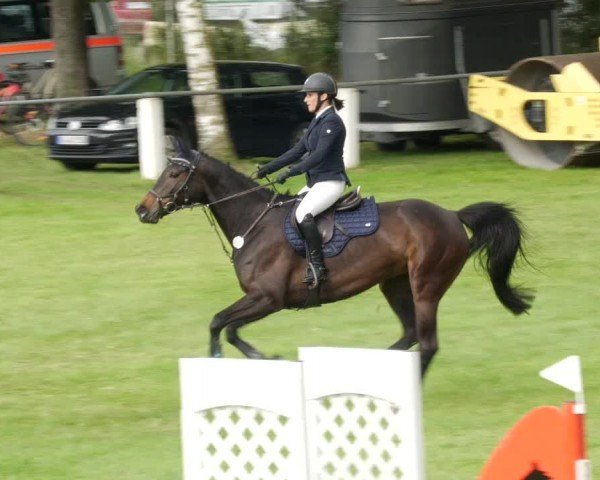 Reitturnier Forst 2024