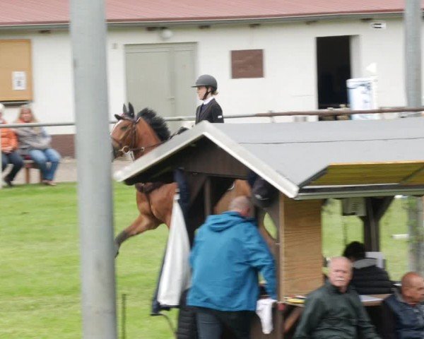 Reitturnier Forst 2024