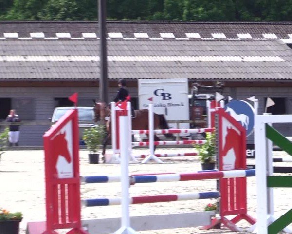 Reitturnier Kropp 2024