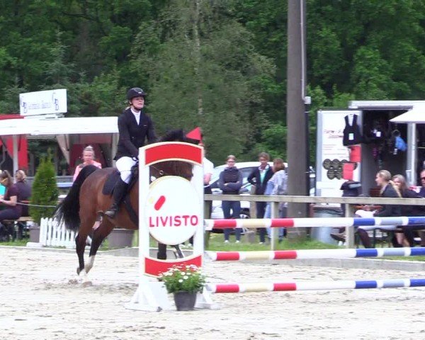 Reitturnier Kropp 2024