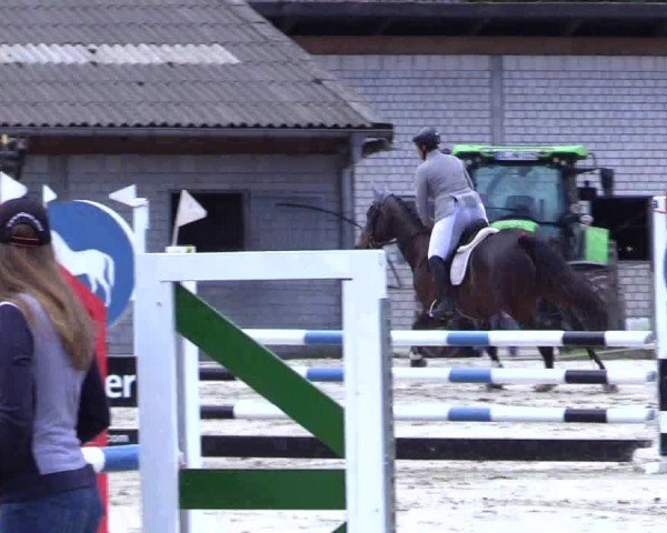 Reitturnier Kropp 2024
