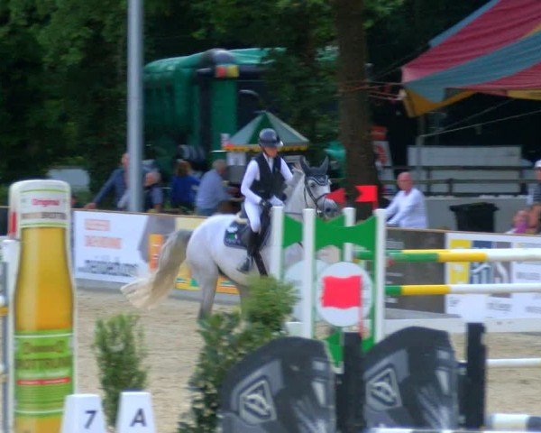 Reitturnier Borken 2024