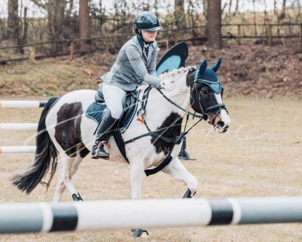 Springpferd Lilli 218 (unbekannt, 2008)