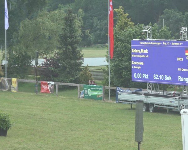 Reitturnier Pennigbüttel 2024