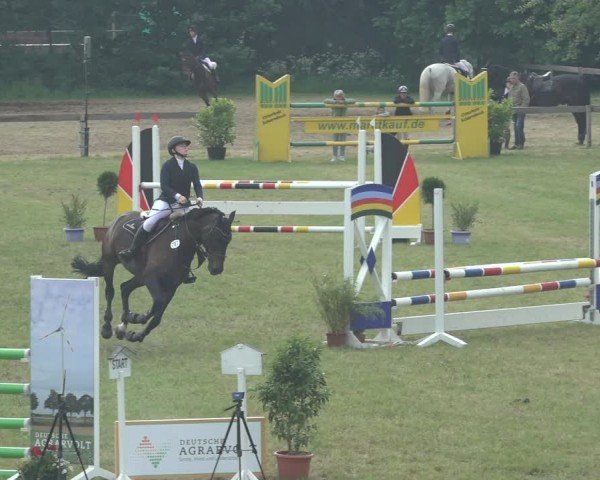 Reitturnier Pennigbüttel 2024