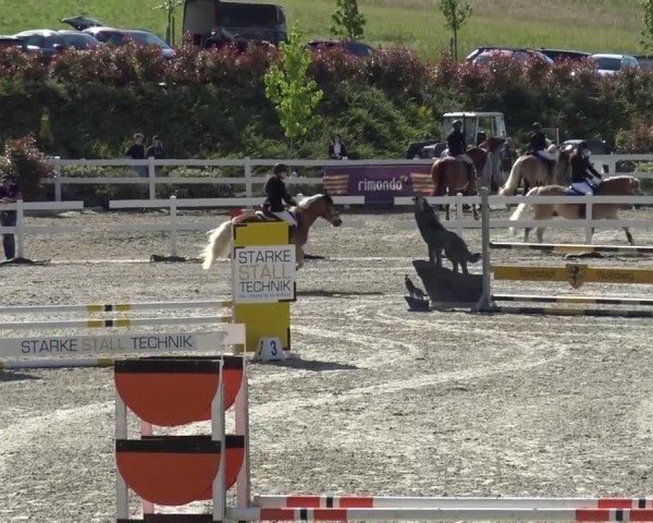Reitturnier St. Margarethen 2024