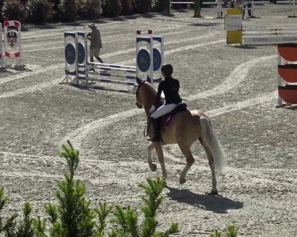 Reitturnier St. Margarethen 2024