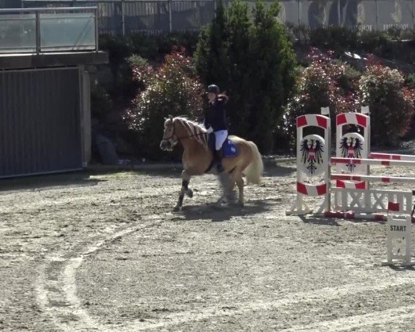 Reitturnier St. Margarethen 2024