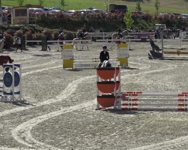 Reitturnier St. Margarethen 2024