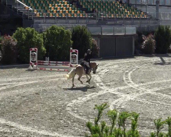 Reitturnier St. Margarethen 2024