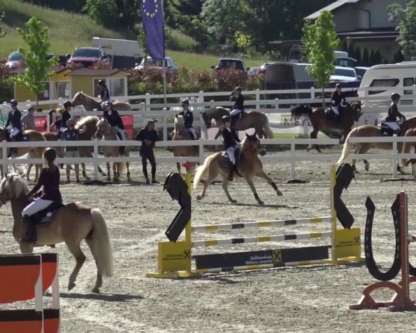 Reitturnier St. Margarethen 2024