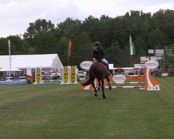 Reitturnier Horka 2024